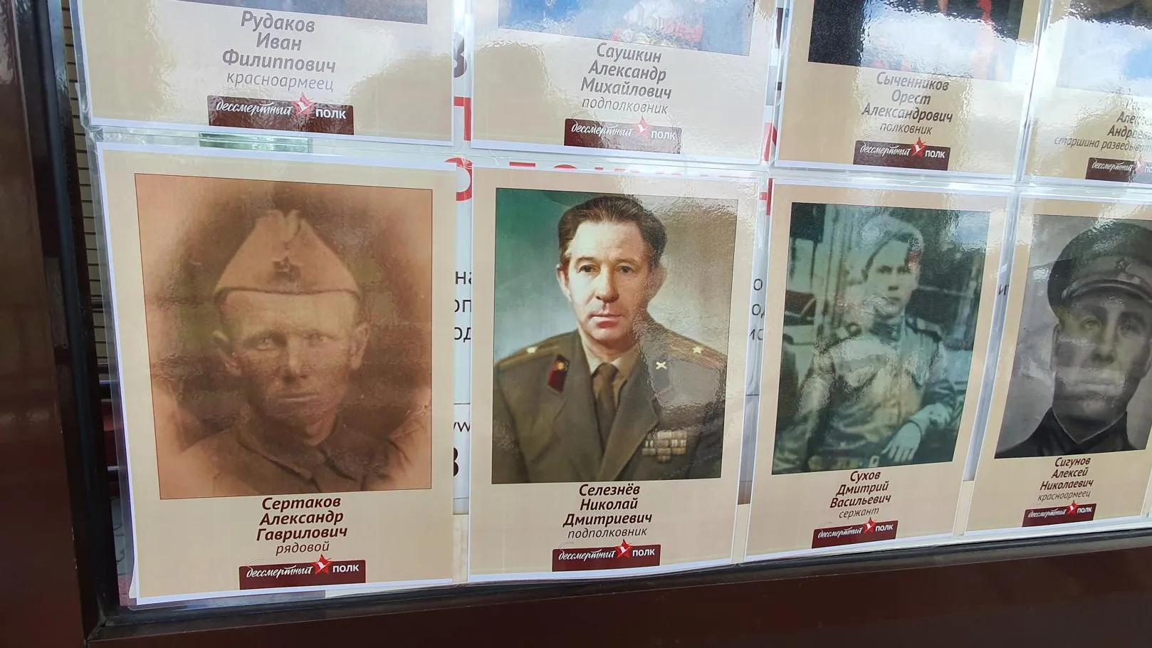 Фото: Н. Надточая