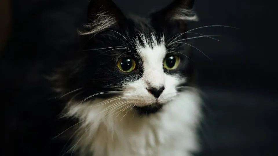 Фото: unsplash.com