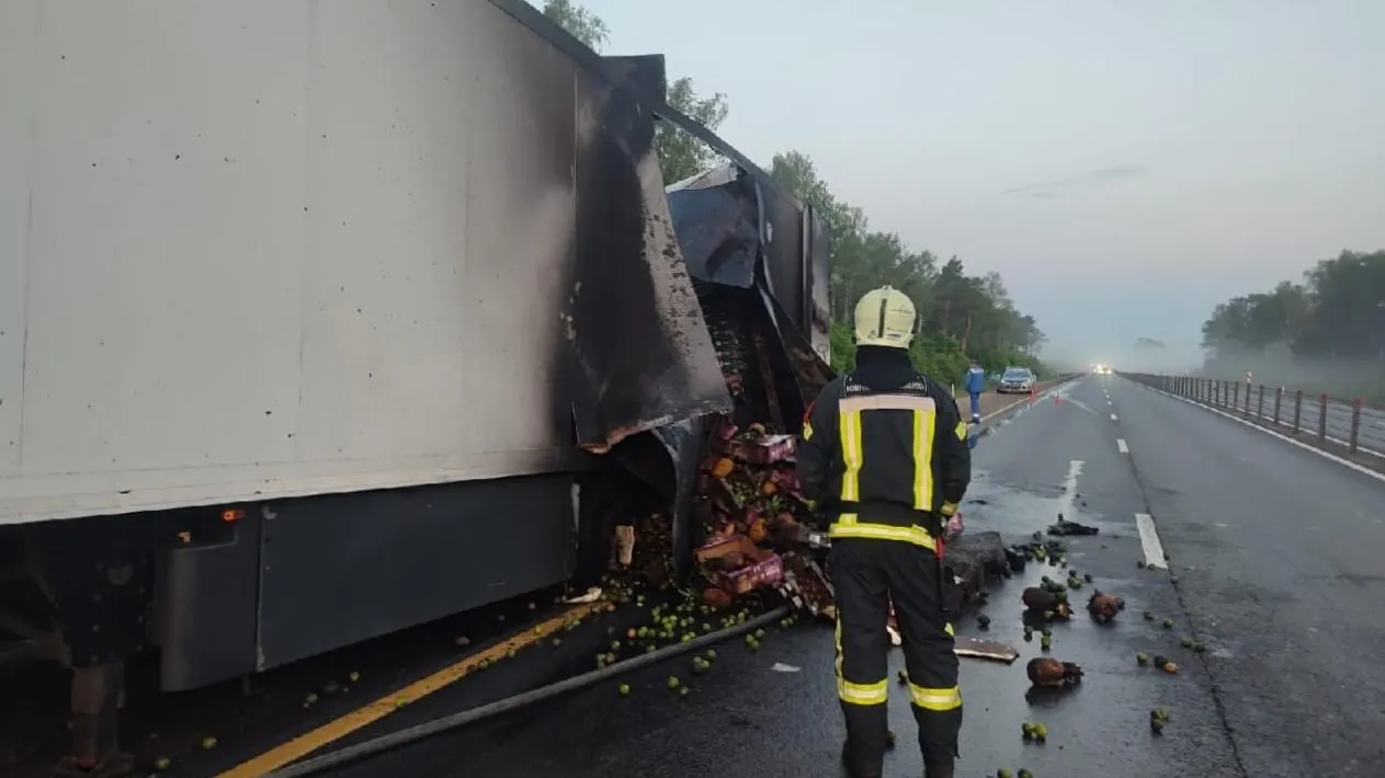 Фото: ГКУ МО «Мособлпожспас»