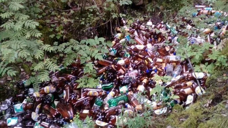 Огромная куча пивных бутылок шокировала грибников в Подмосковье