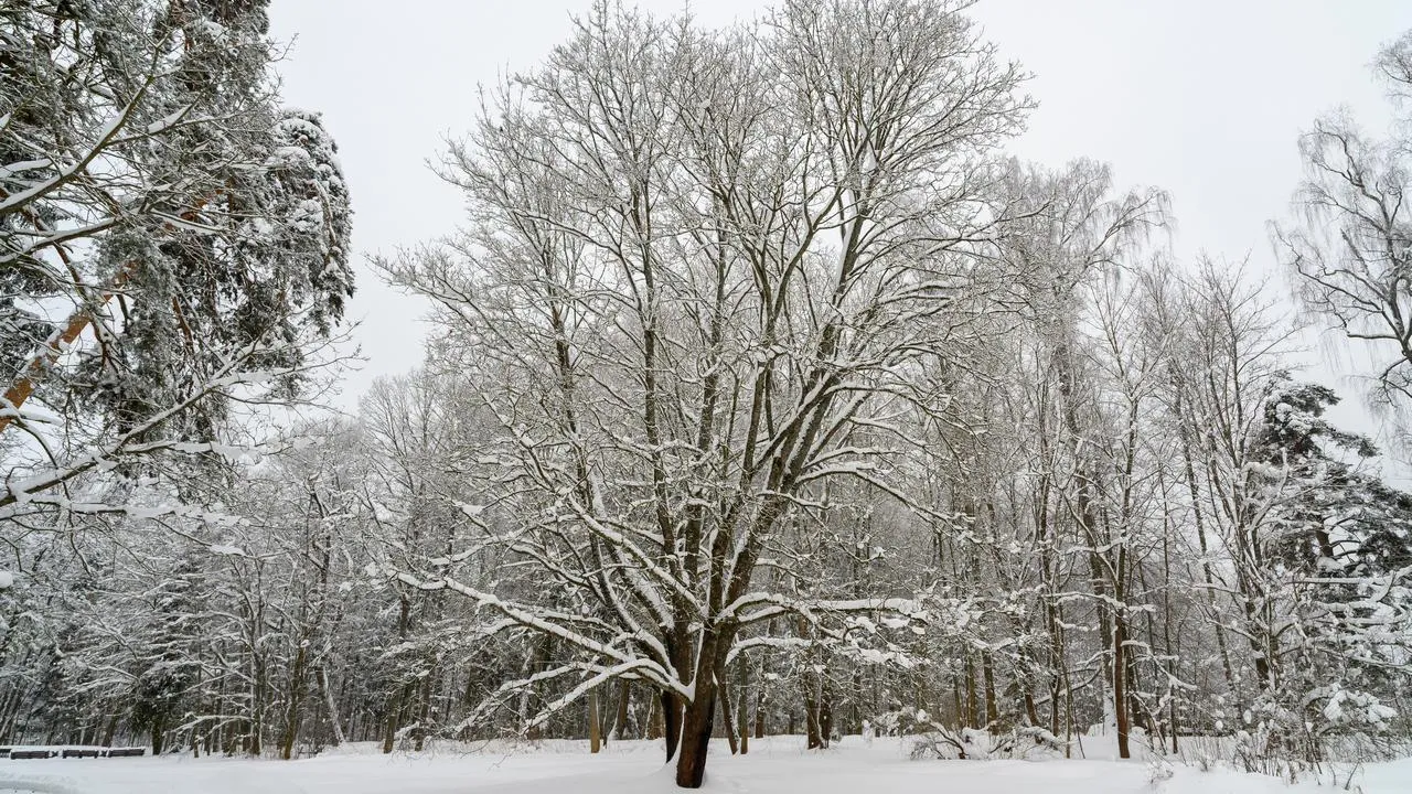 медиасток.рф