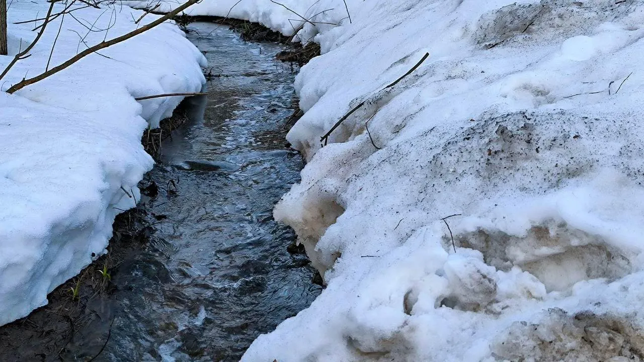 REGIONS/Роман Малышенко