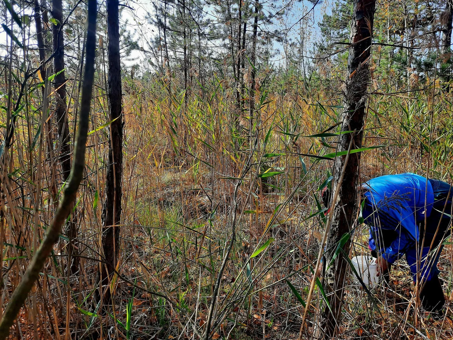 Михаил Мартыненко