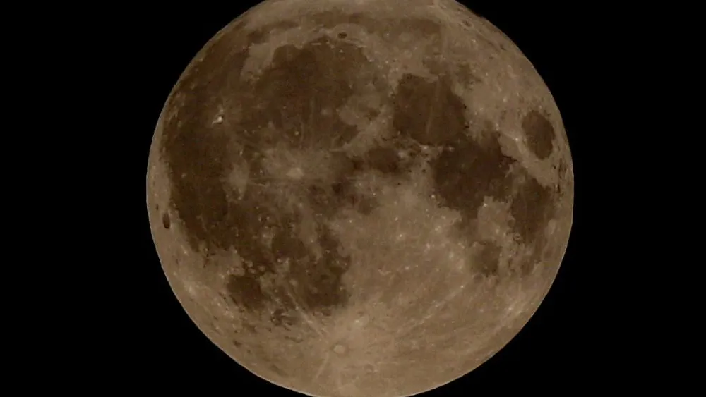 Фото: REGIONS/Дмитрий Привезенцев