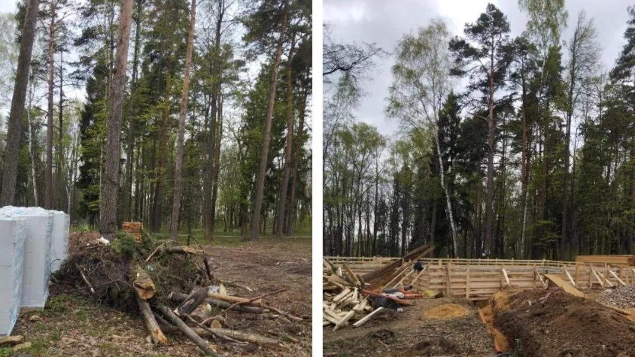 В Королеве спасли от уничтожения памятник археологии