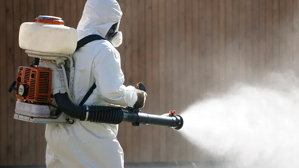 Фото: МедиаБанк Подмосковья/Алена Притула