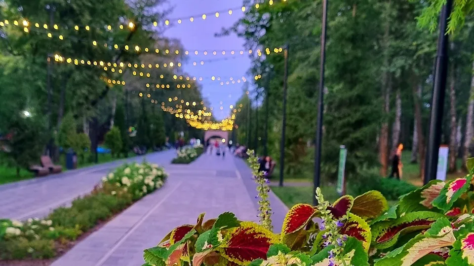 Фото: Андрей Башинский