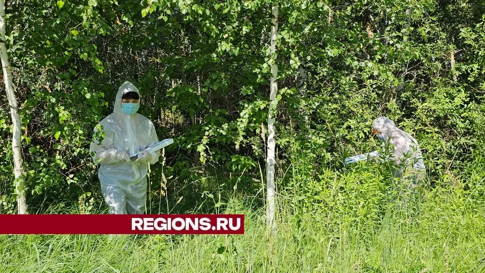 Фото: Александр Дрожжин