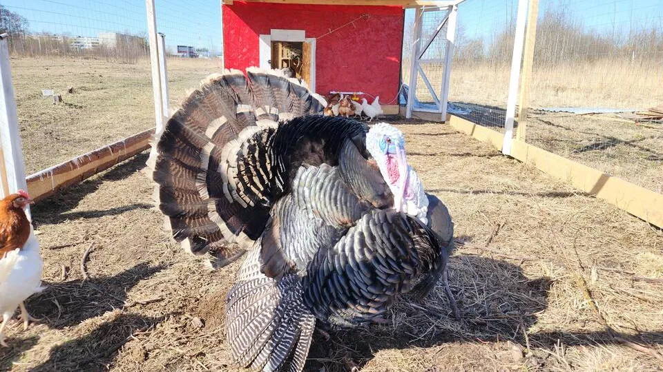 Фото: Ольга Сычева