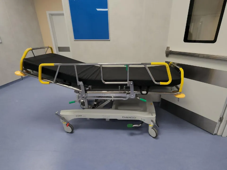 Фото: REGIONS/Артем Мишуков