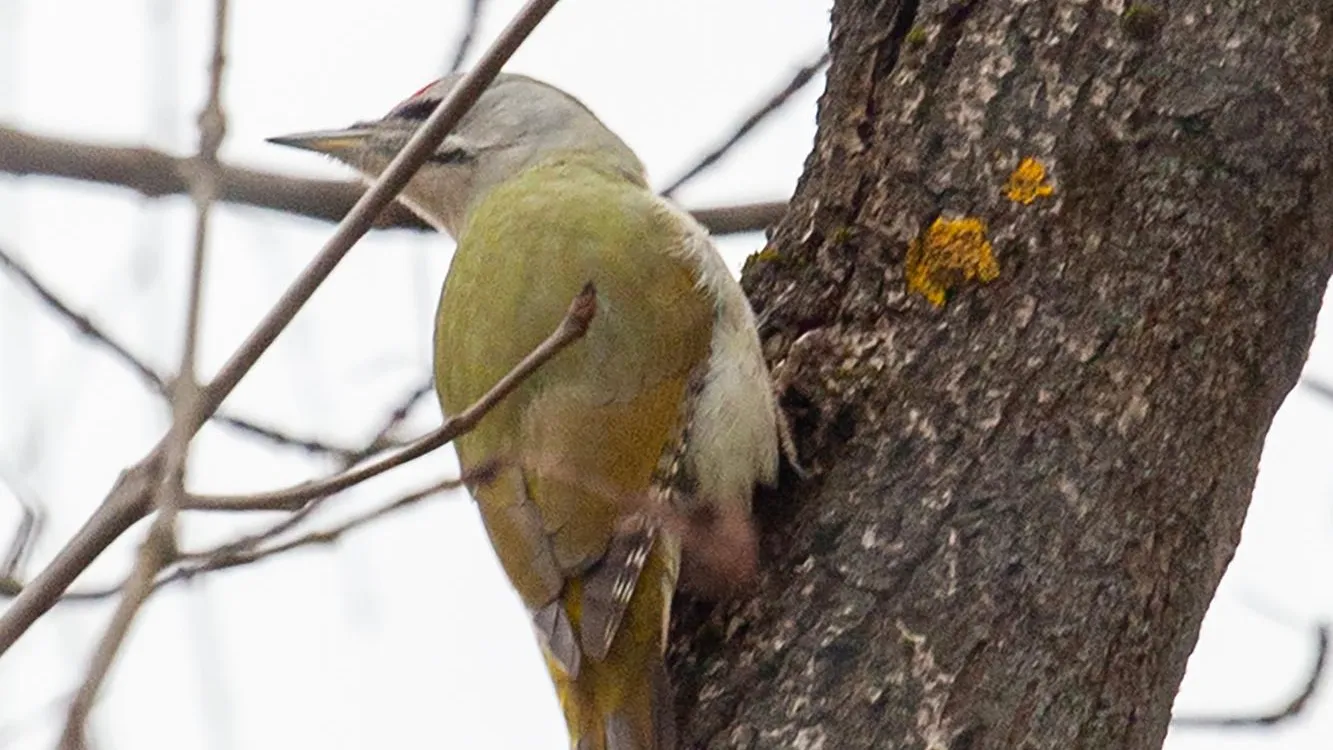 Фото: Владимир Шлёнсков