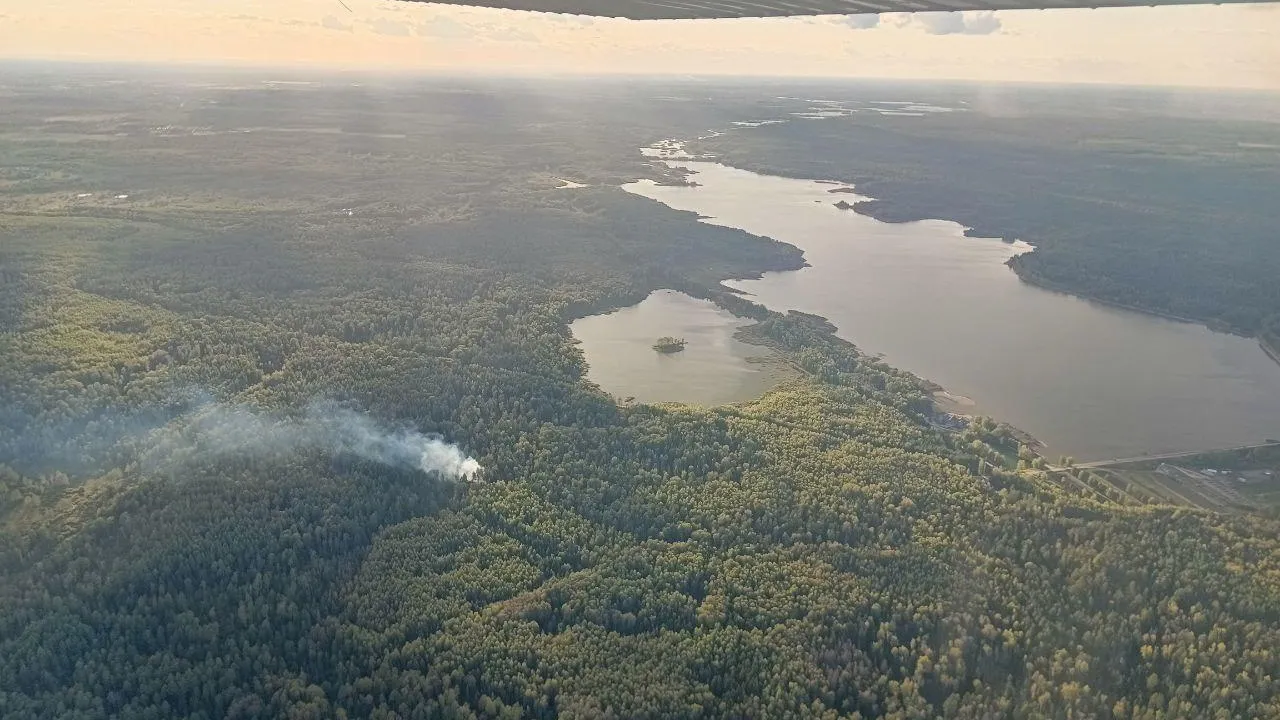 Комитет лесного хозяйства Московской области