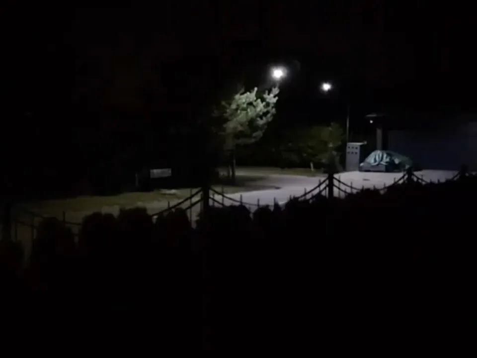 Фото: t.me/ZaEcology