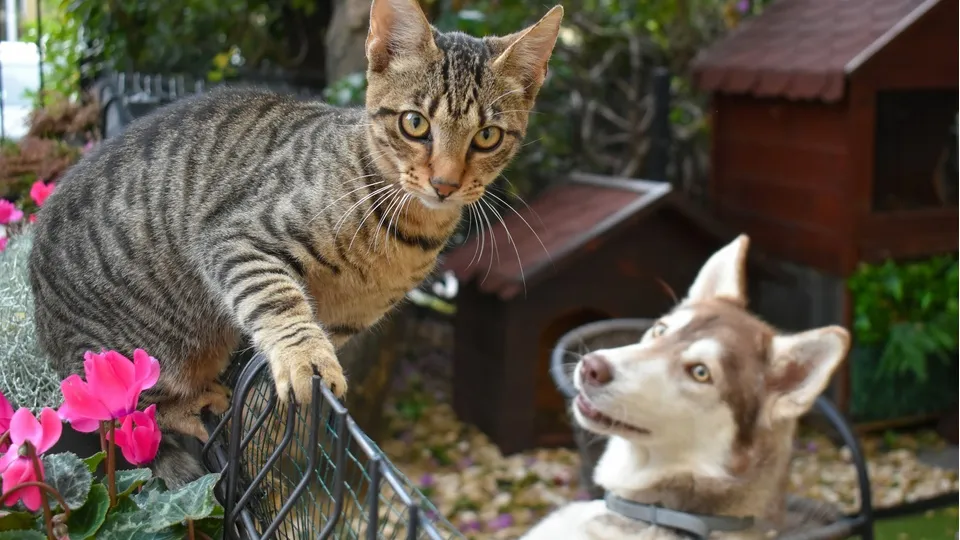 Фото: unsplash.com