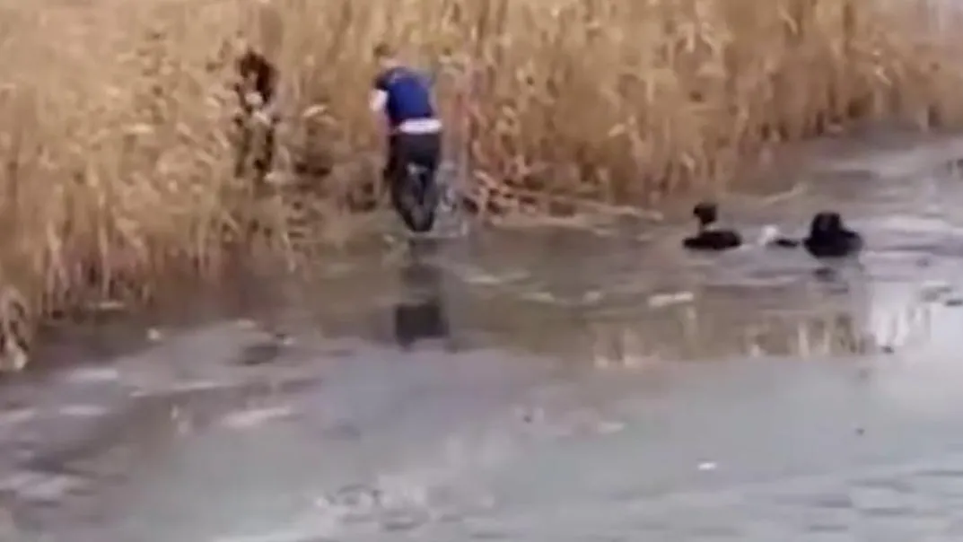 фото: скриншот