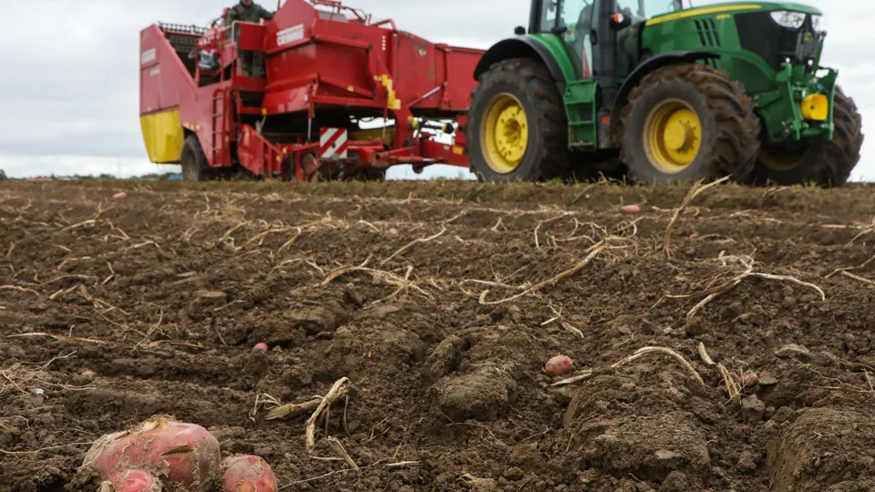 Фото: ТАСС/Мария Дмитриенко