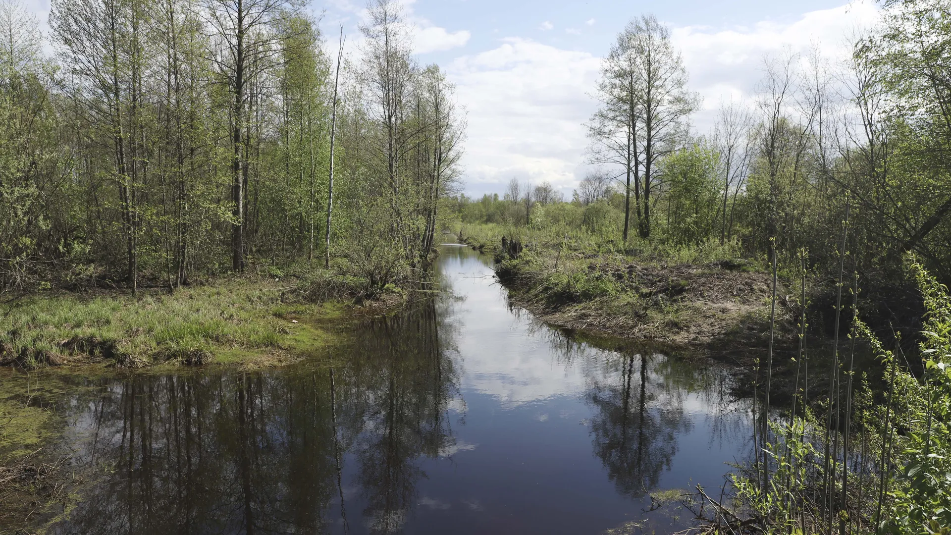 Фото: Оксана Лапшина