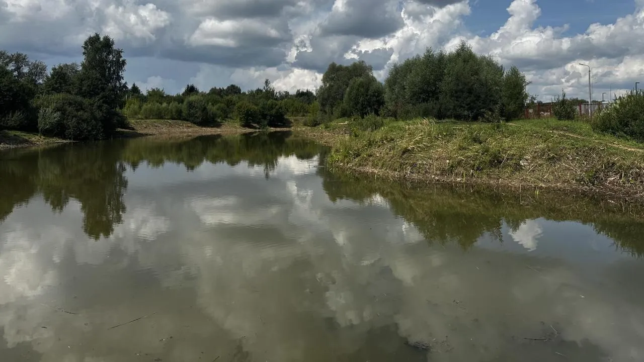 Два пруда расчистили в Наро-Фоминском городском округе