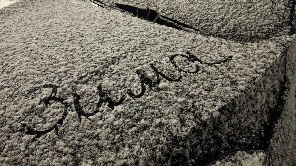 Фото: REGIONS/Евгения Макаренко