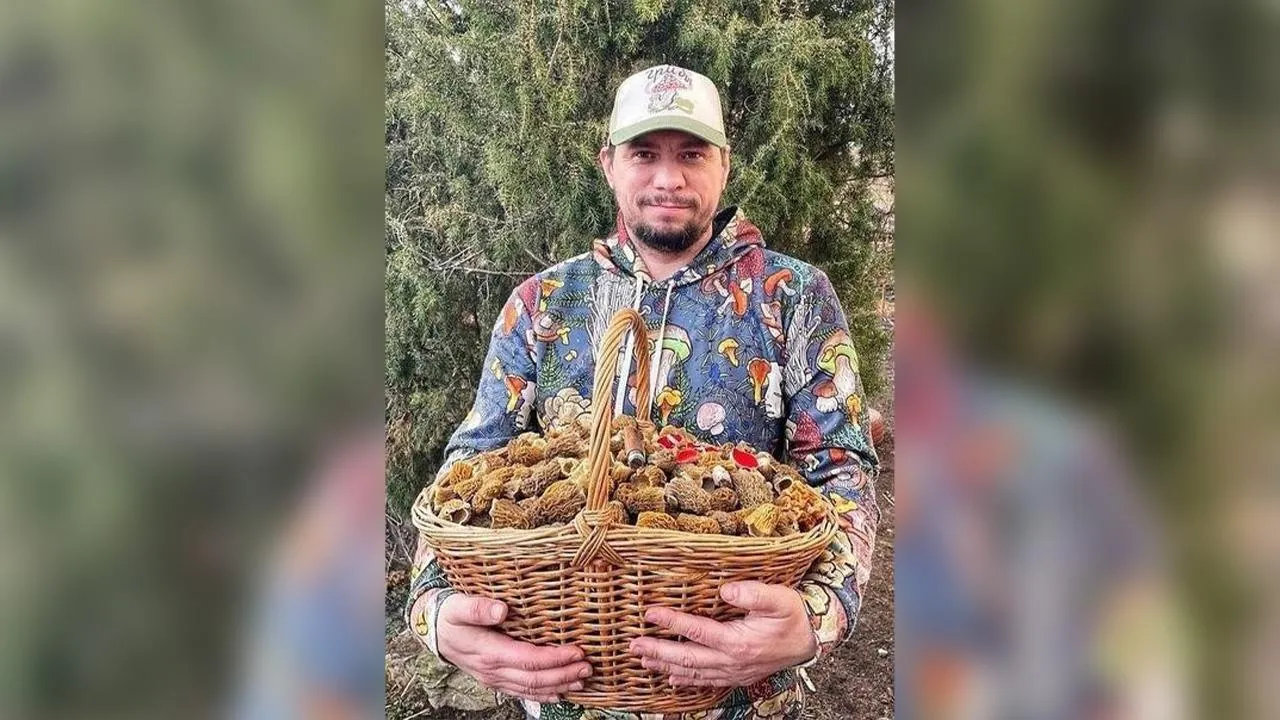 «Две, может, даже и три»: миколог рассказал, сколько грибных волн ждать в Подмосковье в этом году