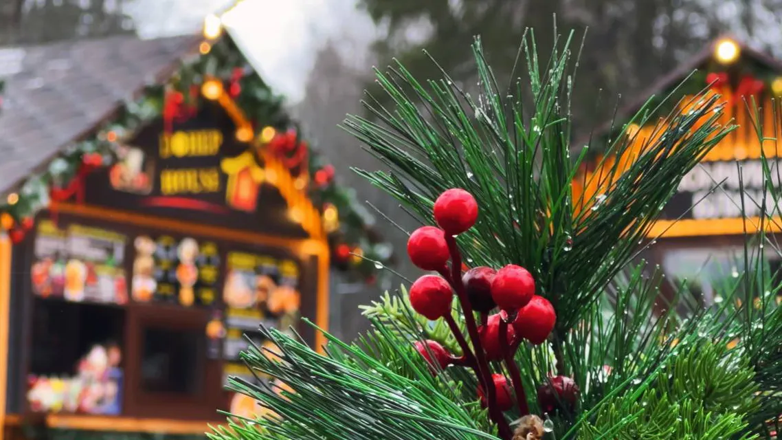 Фото: МБУ «Дирекция парков Одинцовского городского округа»