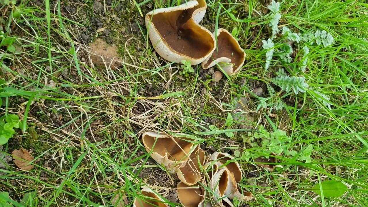 Фото: Министерство экологии и природопользования МО