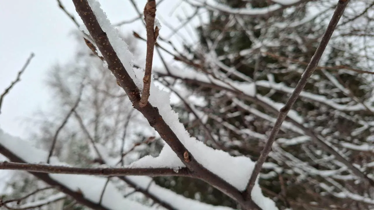 REGIONS/Юлия Габбасова