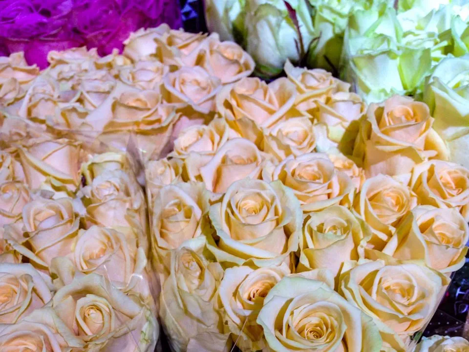 Фото: REGIONS/Роман Малышенко