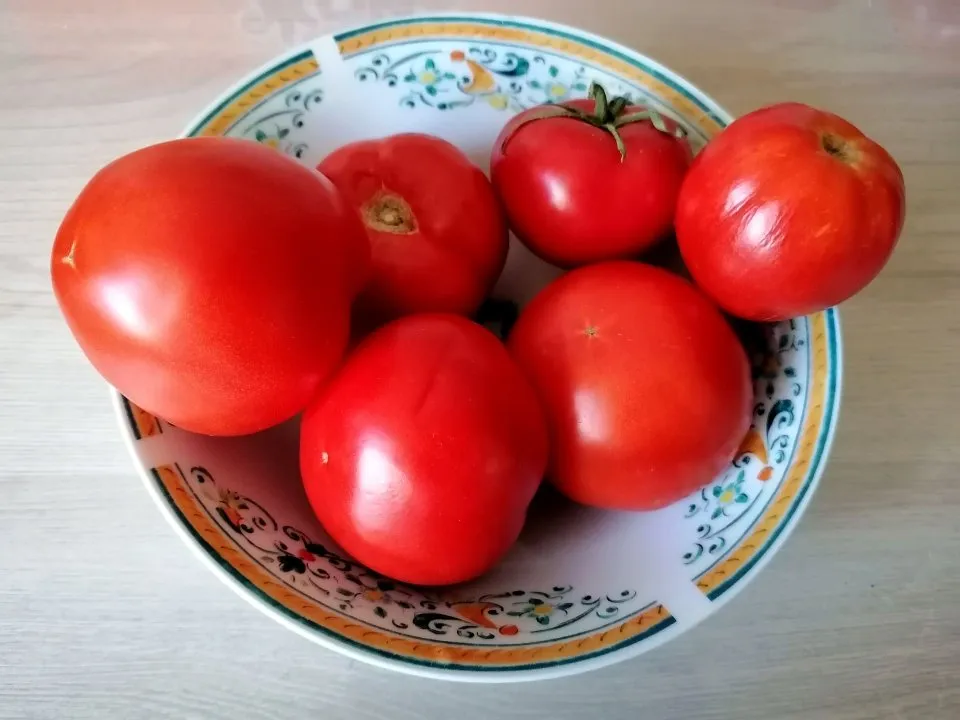 Фото: REGIONS/Татьяна Замятина