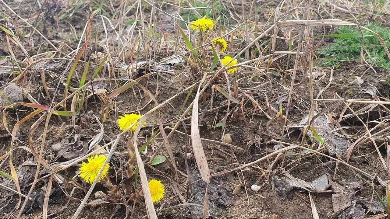 REGIONS/Наталья Надточая