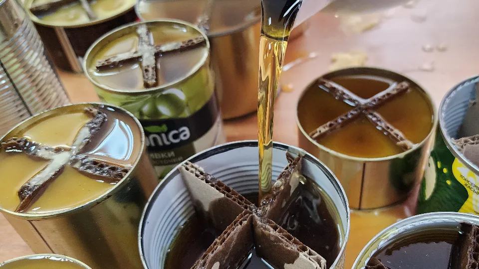 Фото: МедиаБанк Подмосковья/Дмитрий Беденко