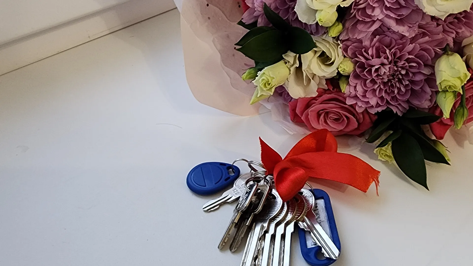 Фото: МедиаБанк Подмосковья/Валерия Тингаева