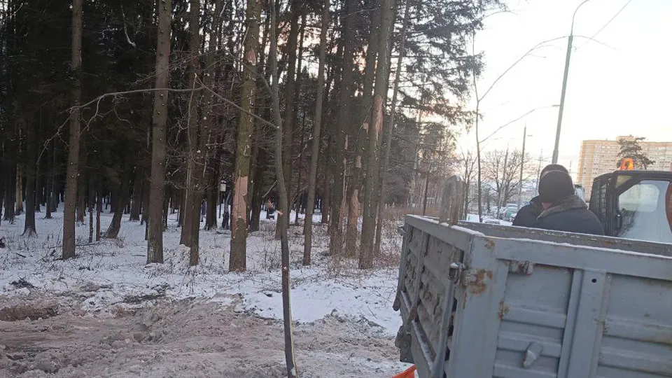 Фото: пресс-служба администрации городского округа Одинцово