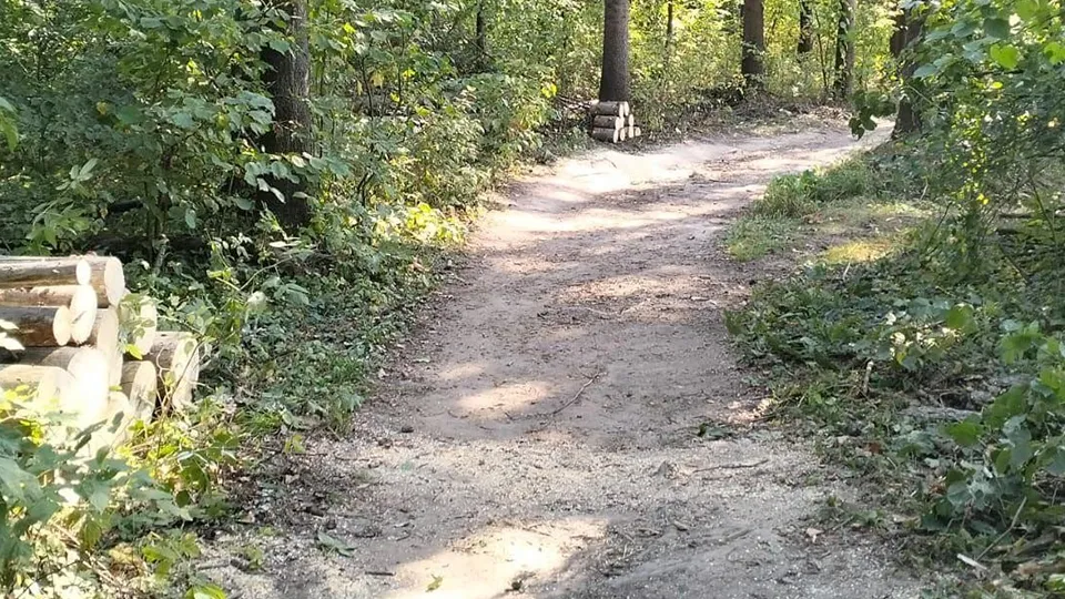 Фото: Комитет лесного хозяйства Московской области
