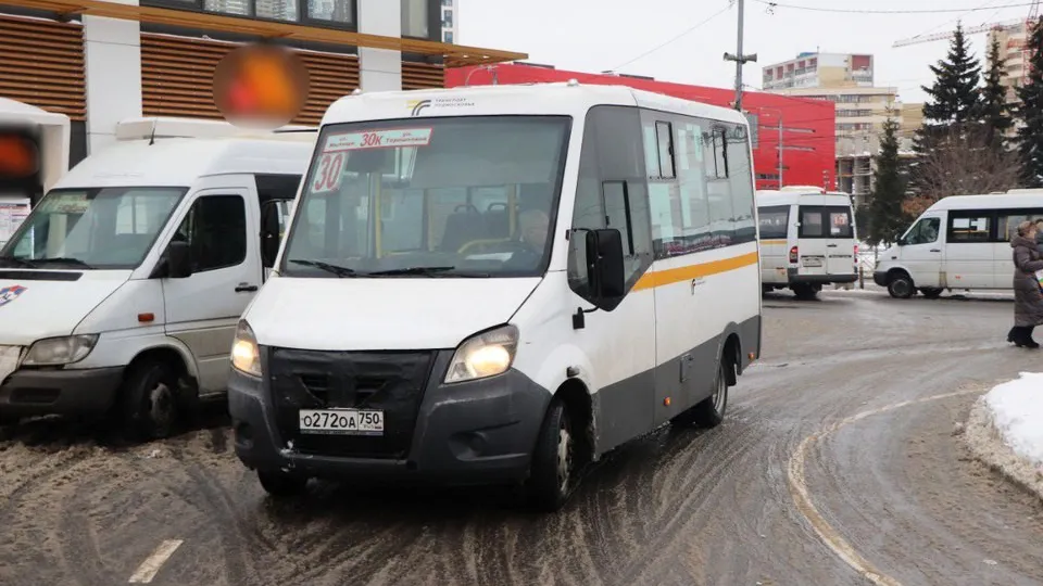 Фото: пресс-служба администрации городского округа Мытищи
