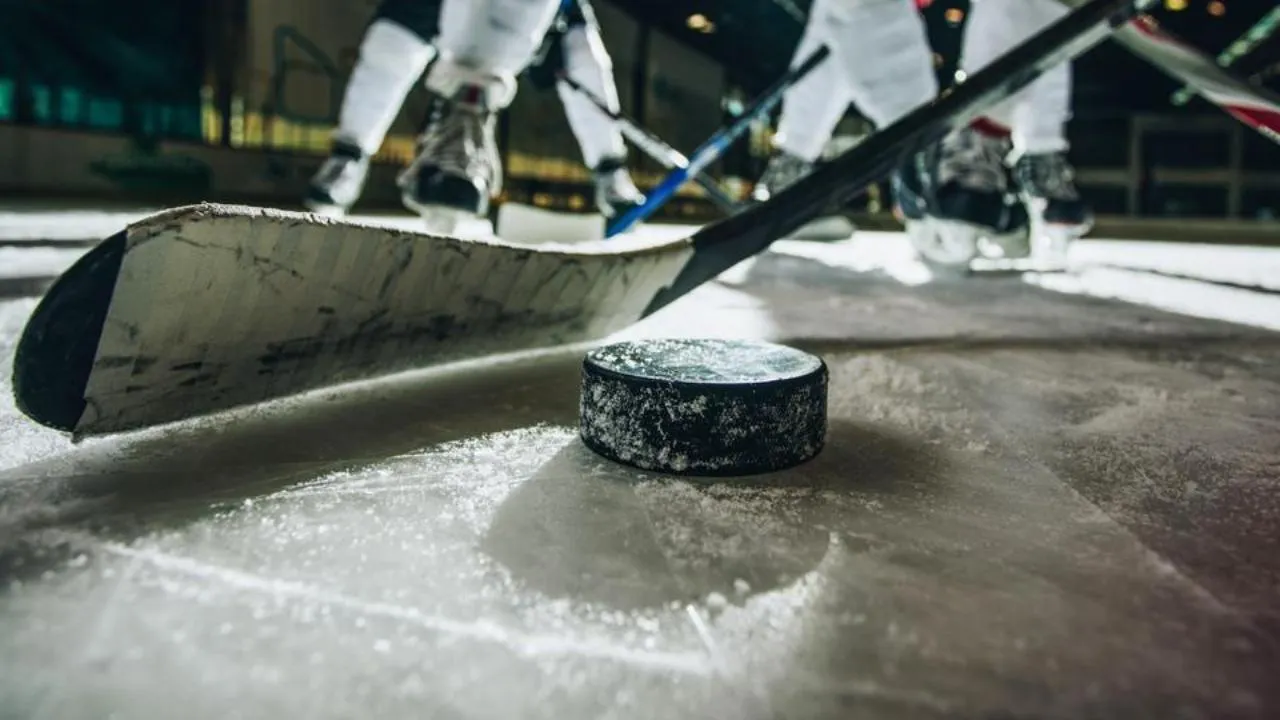 istockphoto.com/skynesher