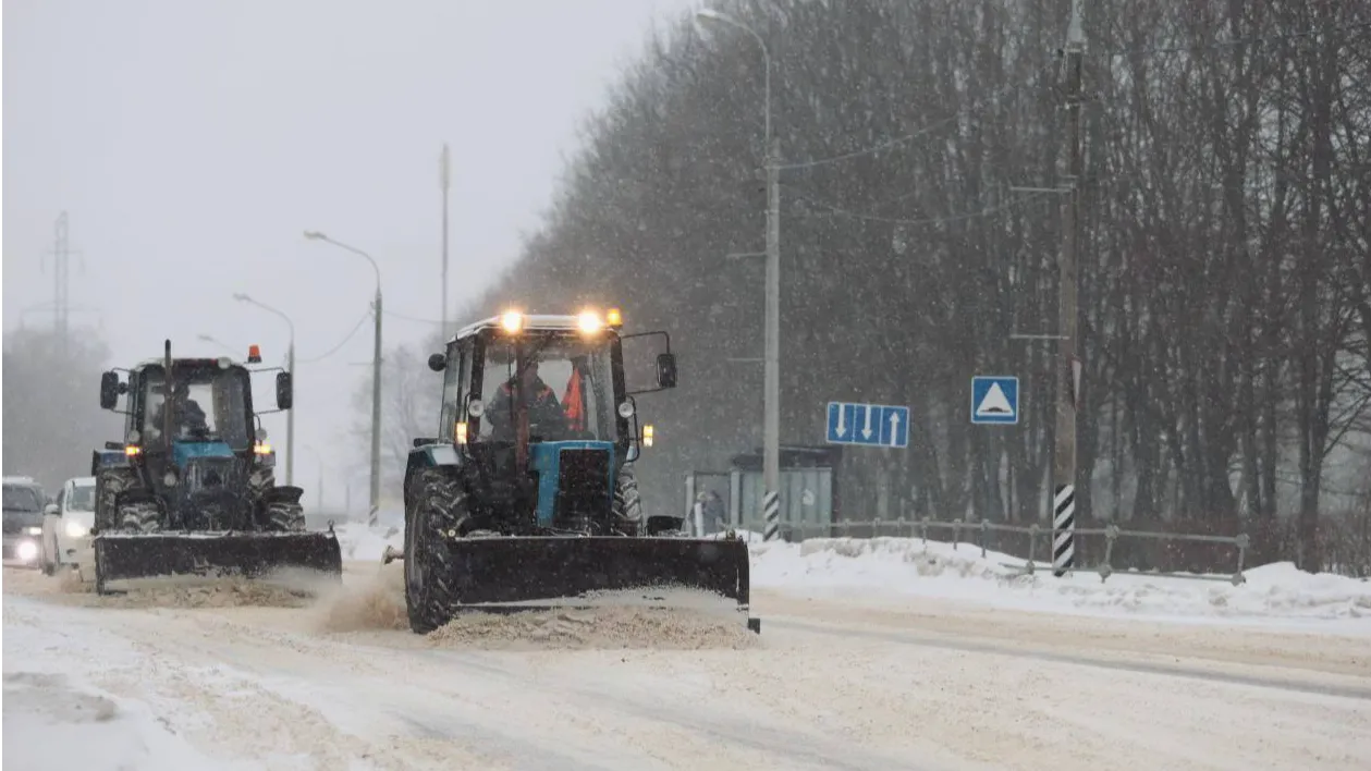 Фото: пресс-служба администрации г.о. Кашира
