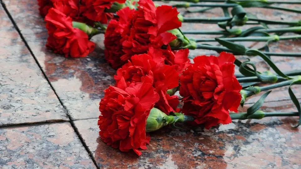 Фото: МедиаБанк Подмосковья/Светлана Плотникова