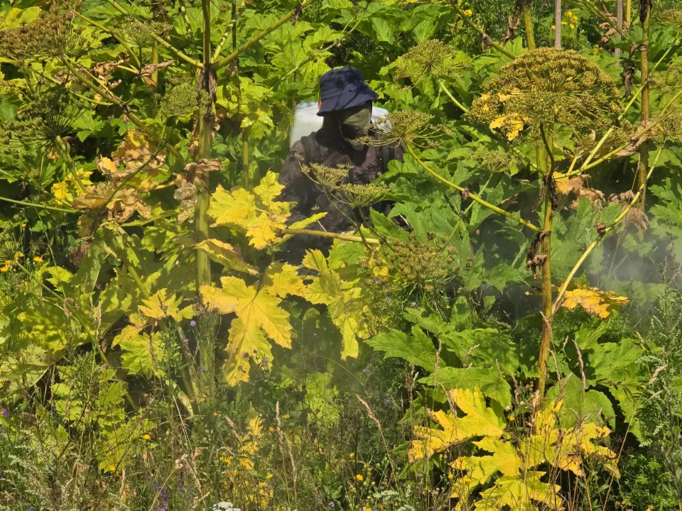 Фото: МедиаБанк Подмосковья/Яна Шаливская