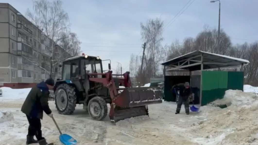 Фото: скриншот с видео от пресс-службы администрации г. о. Воскресенск