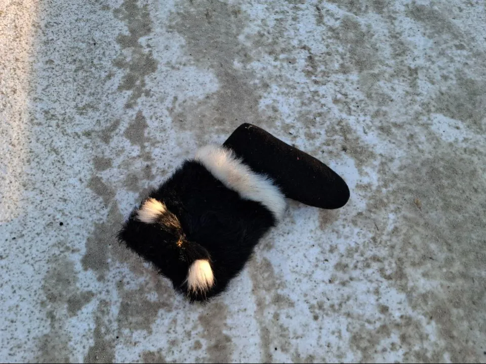 Фото: REGIONS/Юлия Габбасова