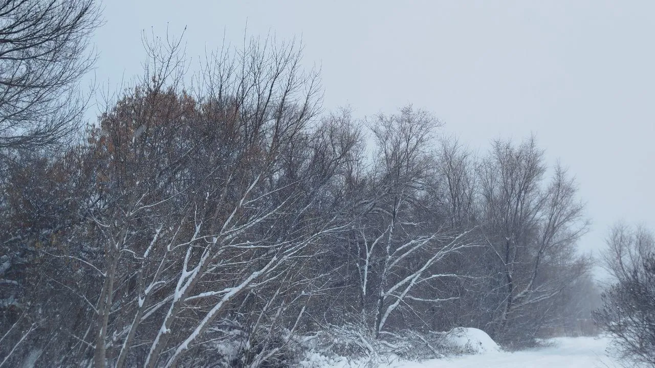 REGIONS/Юлия Куделькина