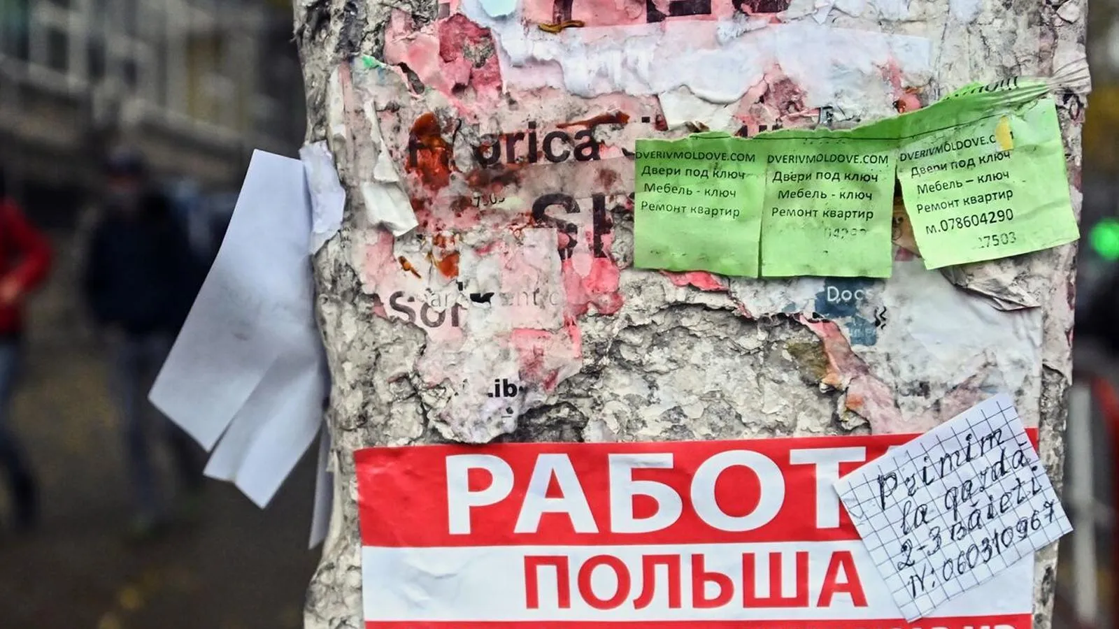 Евгений Одиноков