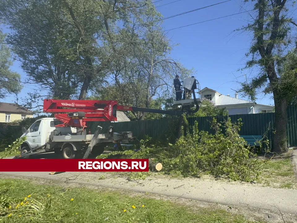 Фото: Евгения Герасимова