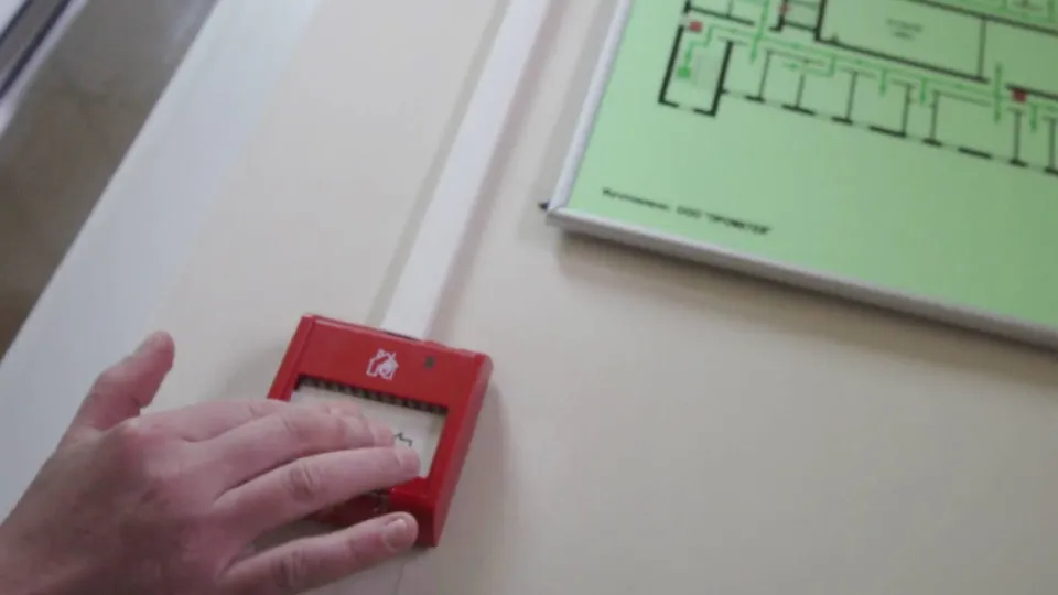 Фото: МедиаБанк Подмосковья/Ксения Казакова