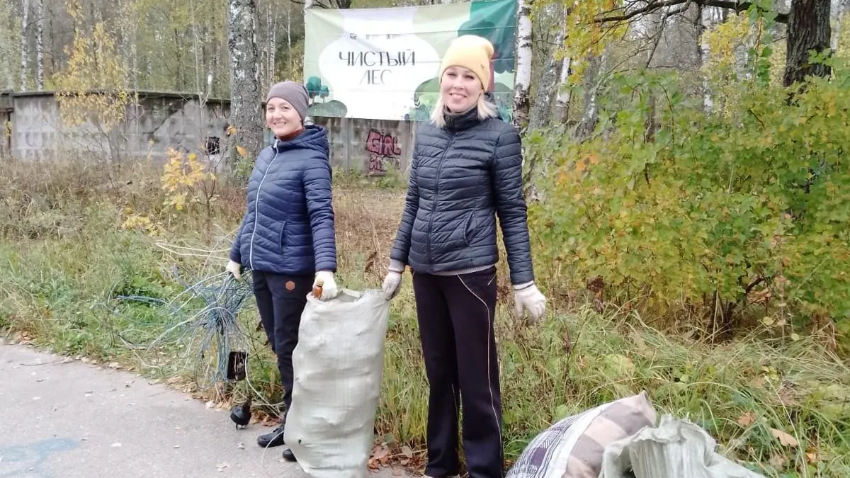 Комитет лесного хозяйства Московской области
