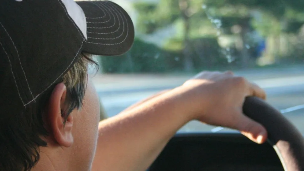 Фото: pxhere.com