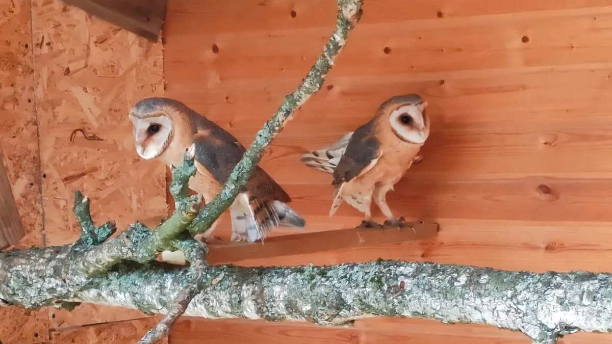 Фото: Руза Заповедная / Вконтакте