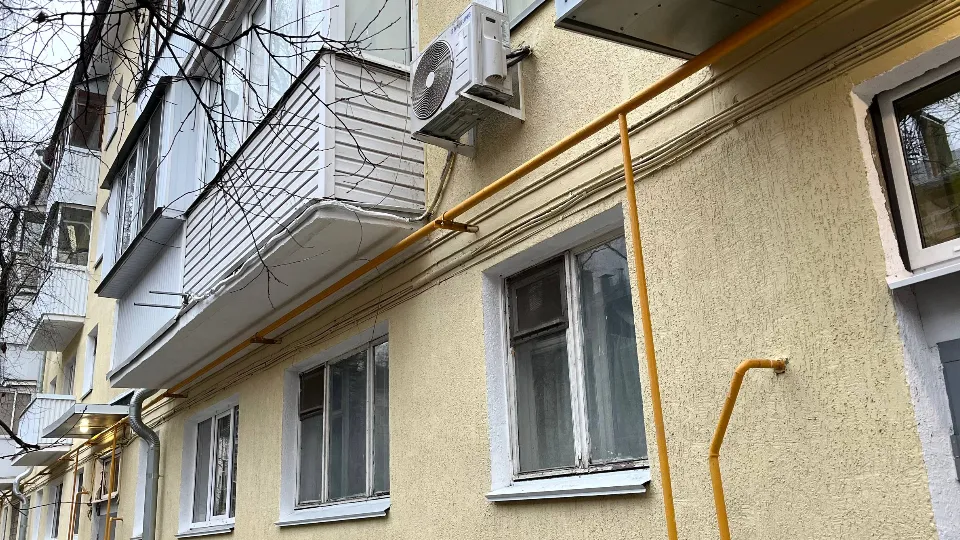 Фото: t.me/AnnaKrotova_Lobnya