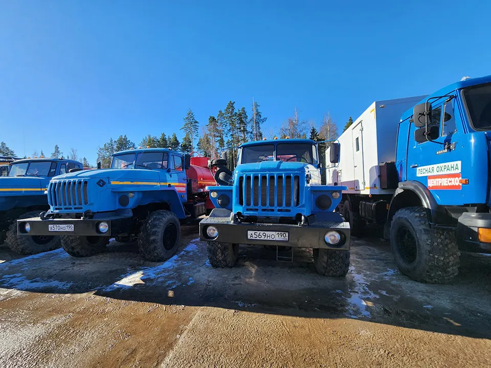 Фото: Вера Коренева